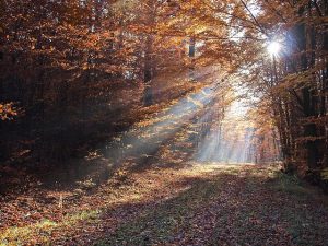If you have good thoughts they will shine out of your face like sunbeams and you will always look lovely.