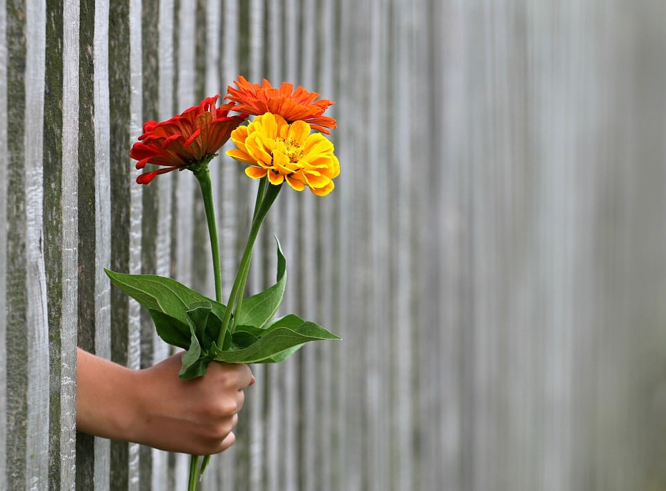 hand door hek met bloemen