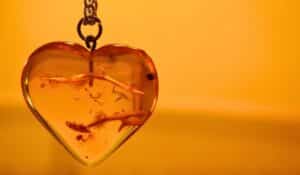 Een hartvormige barnsteenketting met natuurlijke insluitsels, hangend aan een sierlijke ketting tegen een warme, amberkleurige achtergrond.