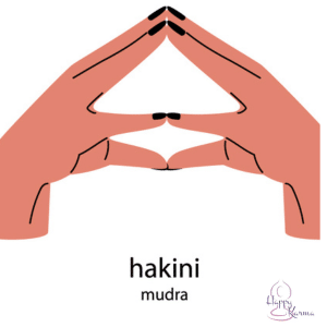 Een illustratie van twee handen in de hakini mudra, waarbij de vingertoppen van elke hand elkaar raken en de handen een dakvorm creëren. De handen zijn gestileerd weergegeven tegen een zacht zalmroze achtergrond.