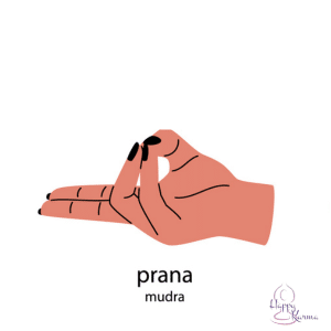 Een illustratie van een hand in de prana mudra. De pink en ringvinger zijn gebogen naar de duim, terwijl de middelvinger en wijsvinger uitgestrekt blijven.
