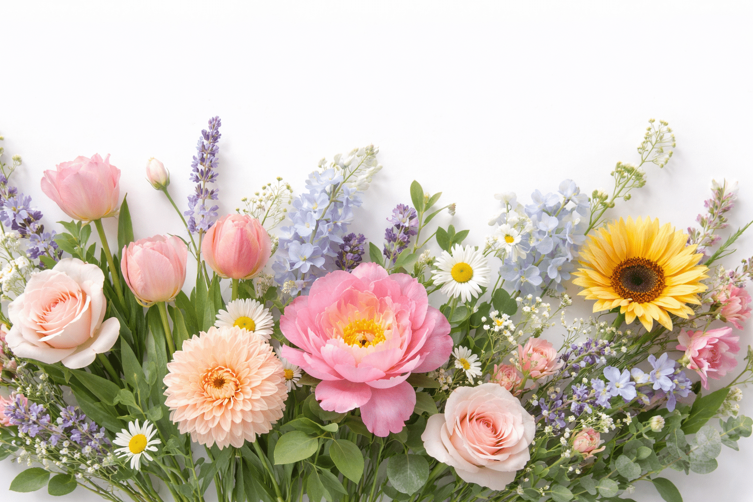 Prachtige gekleurde bloemen op een witte achtergrond